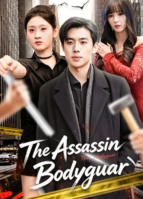The Assassin Bodyguar
